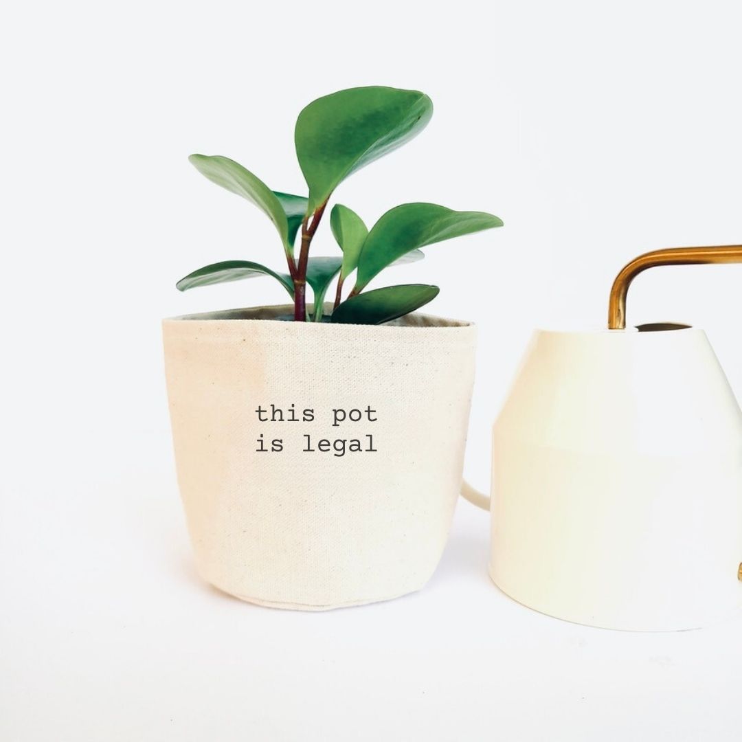 This Pot is Legal Planter