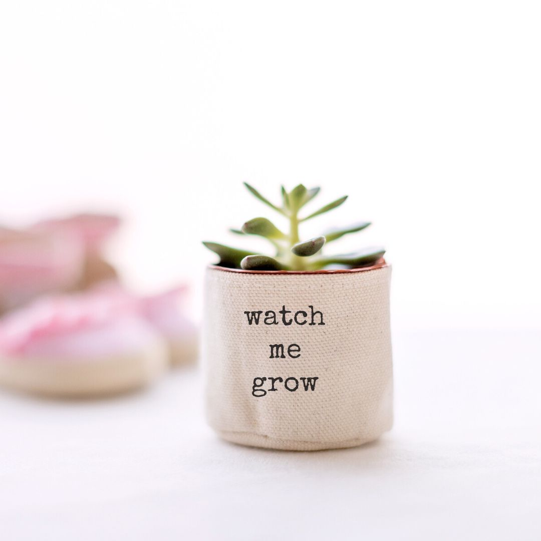 2" watch me grow