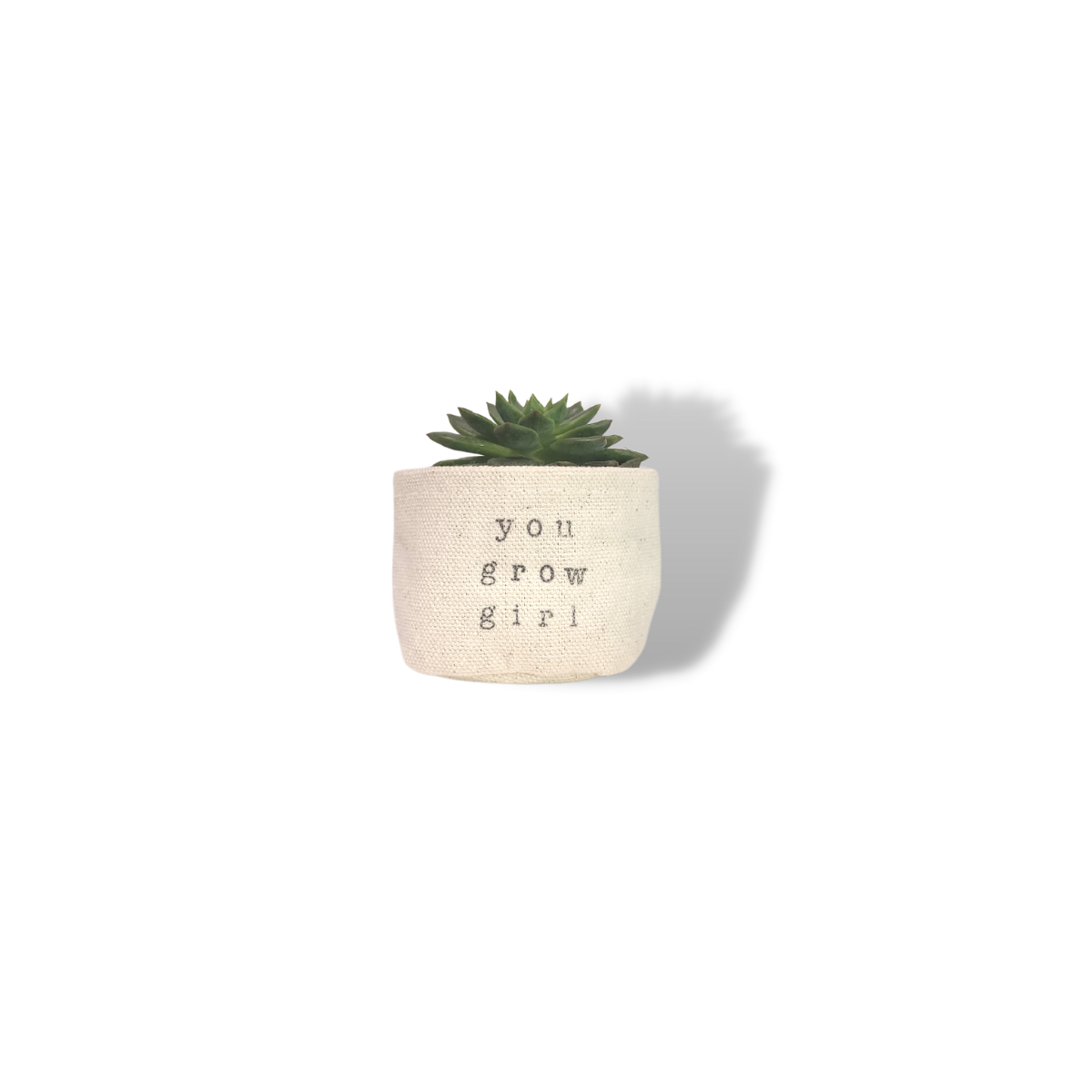 2" Mini Canvas Planter