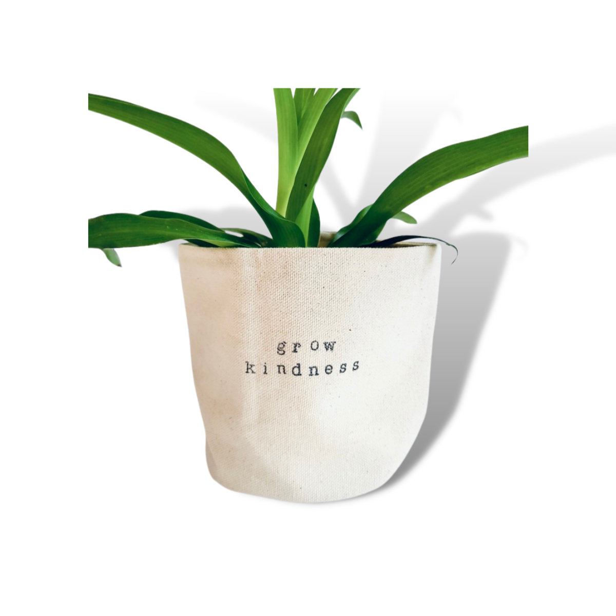 Grow Kindness Planter