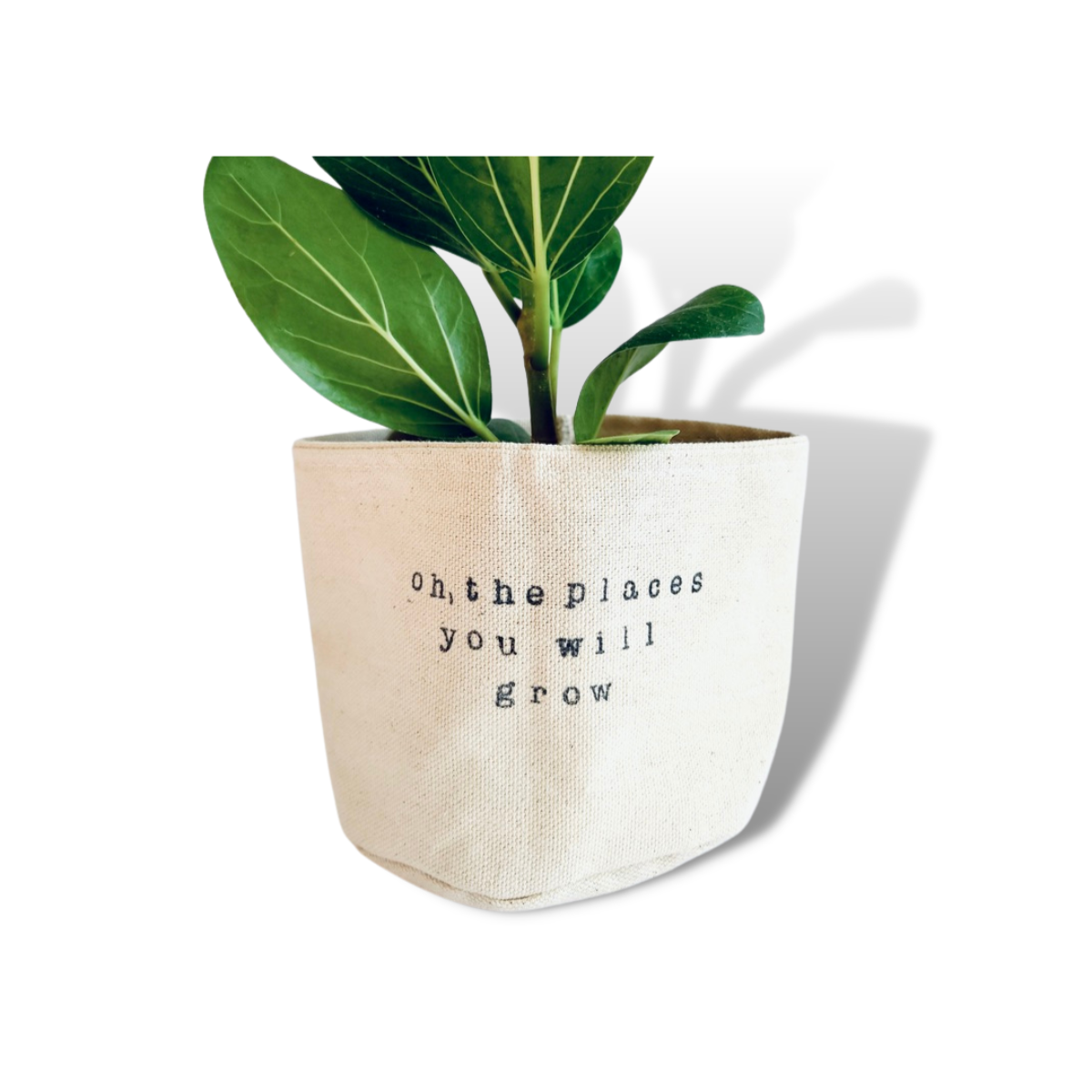 Oh, the places you will grow Planter