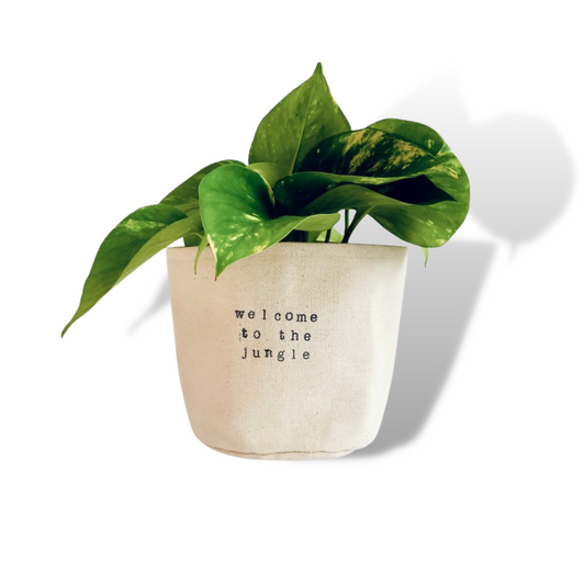 Welcome to the jungle Planter