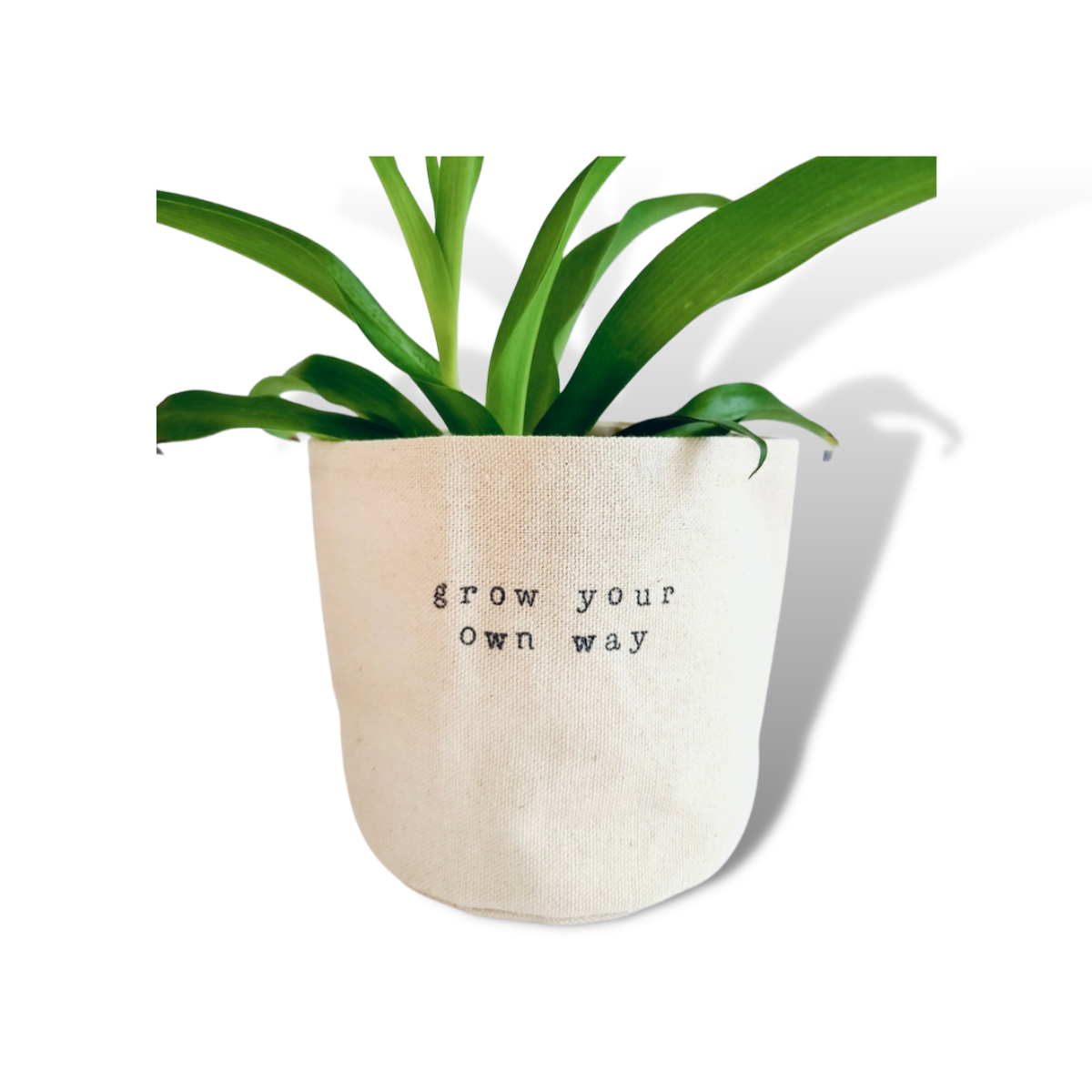 Grow your own way Planter