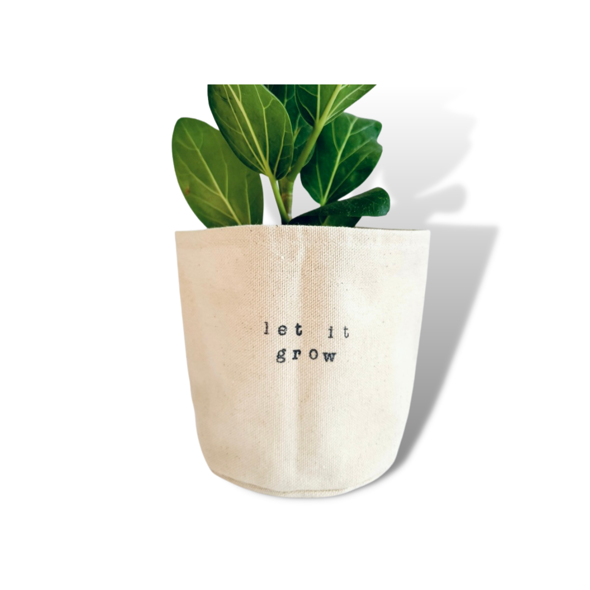 Let it Grow Planter