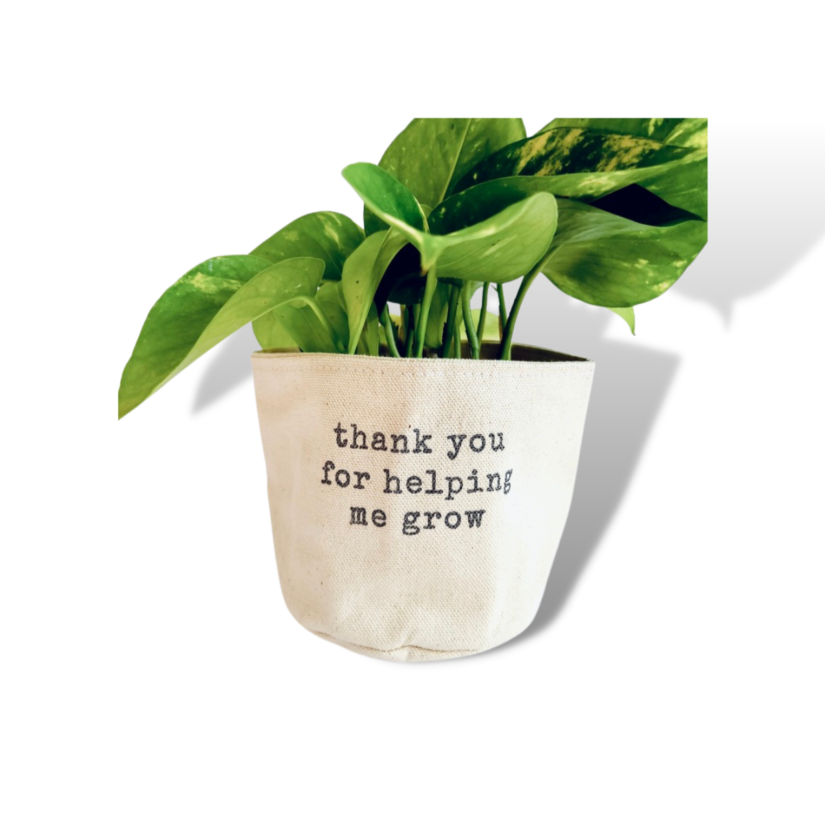 Thank You For Helping Me Grow Planter