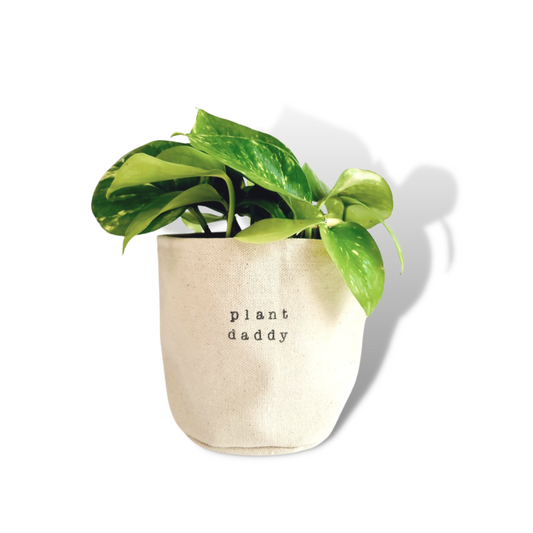 Plant Daddy Planter