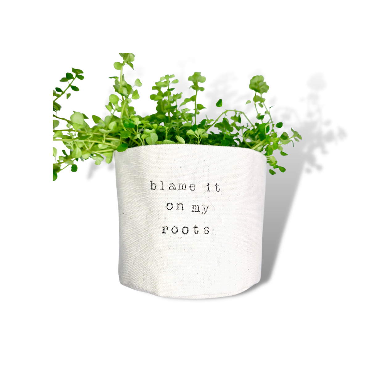 Blame it On My Roots Planter