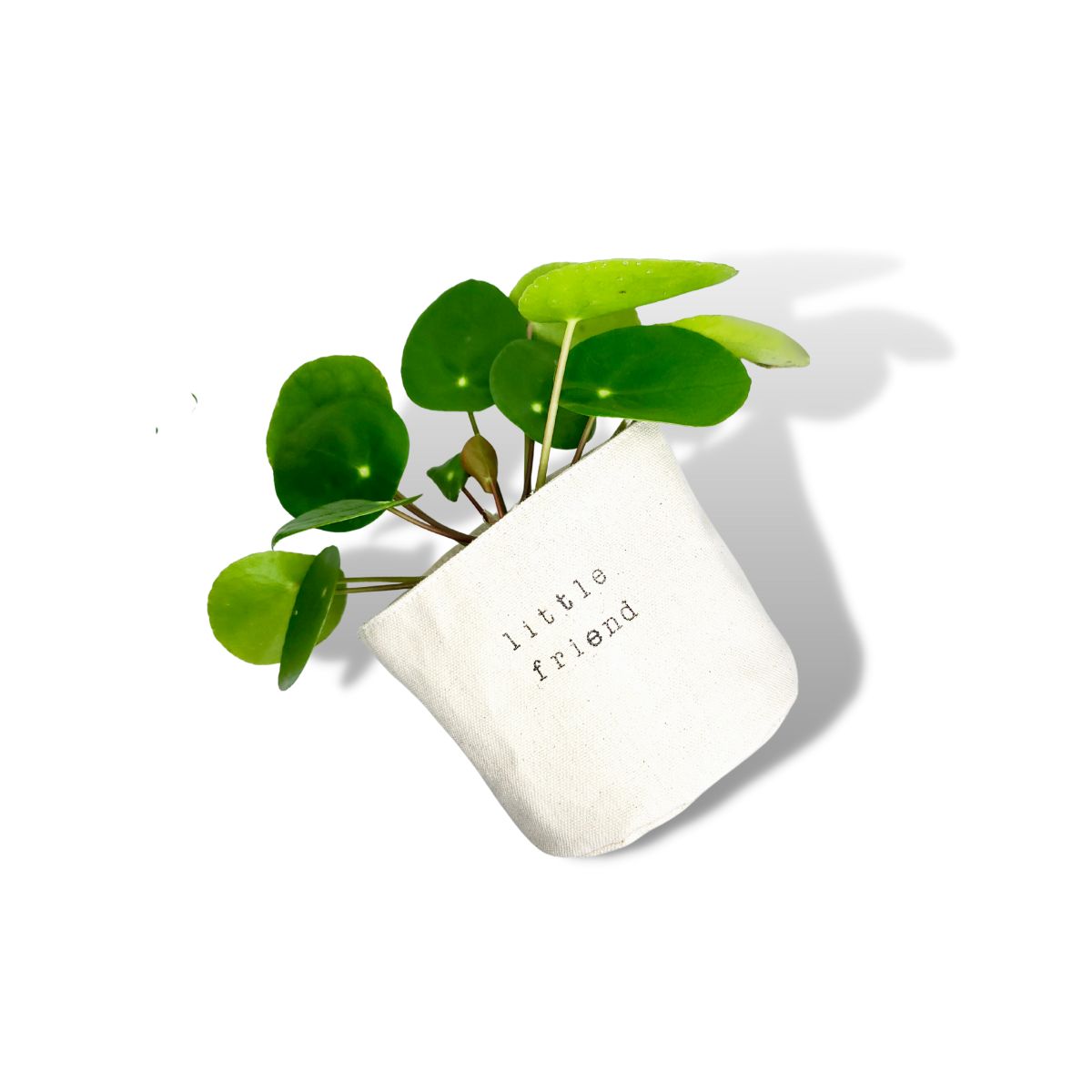 Wholesale Little Friend Planter