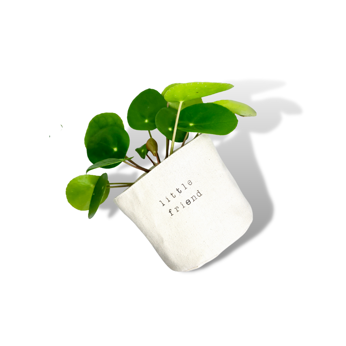 Little Friend Planter