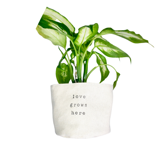 Love Grows Here Planter