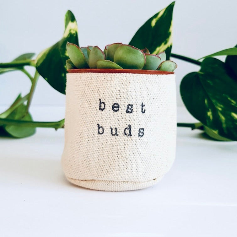 2" best buds