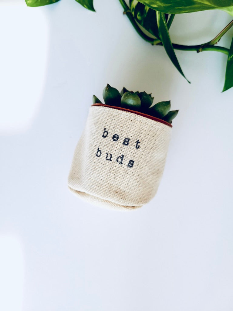 2" best buds
