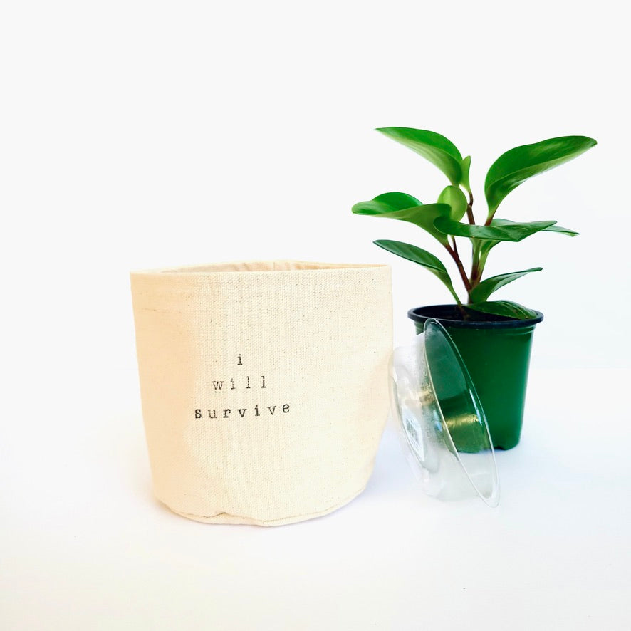 I Will Survive Planter