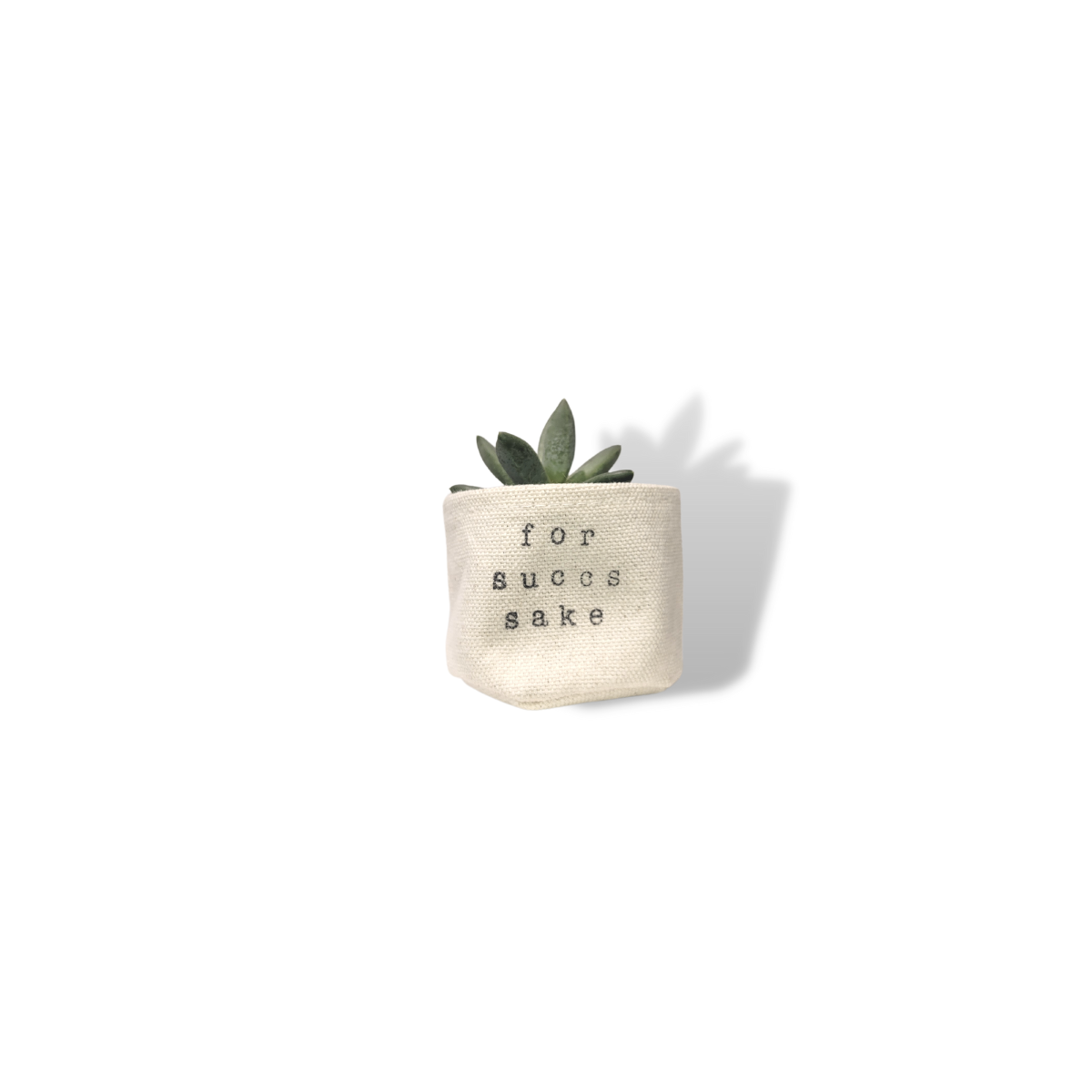 2" Mini Canvas Planter