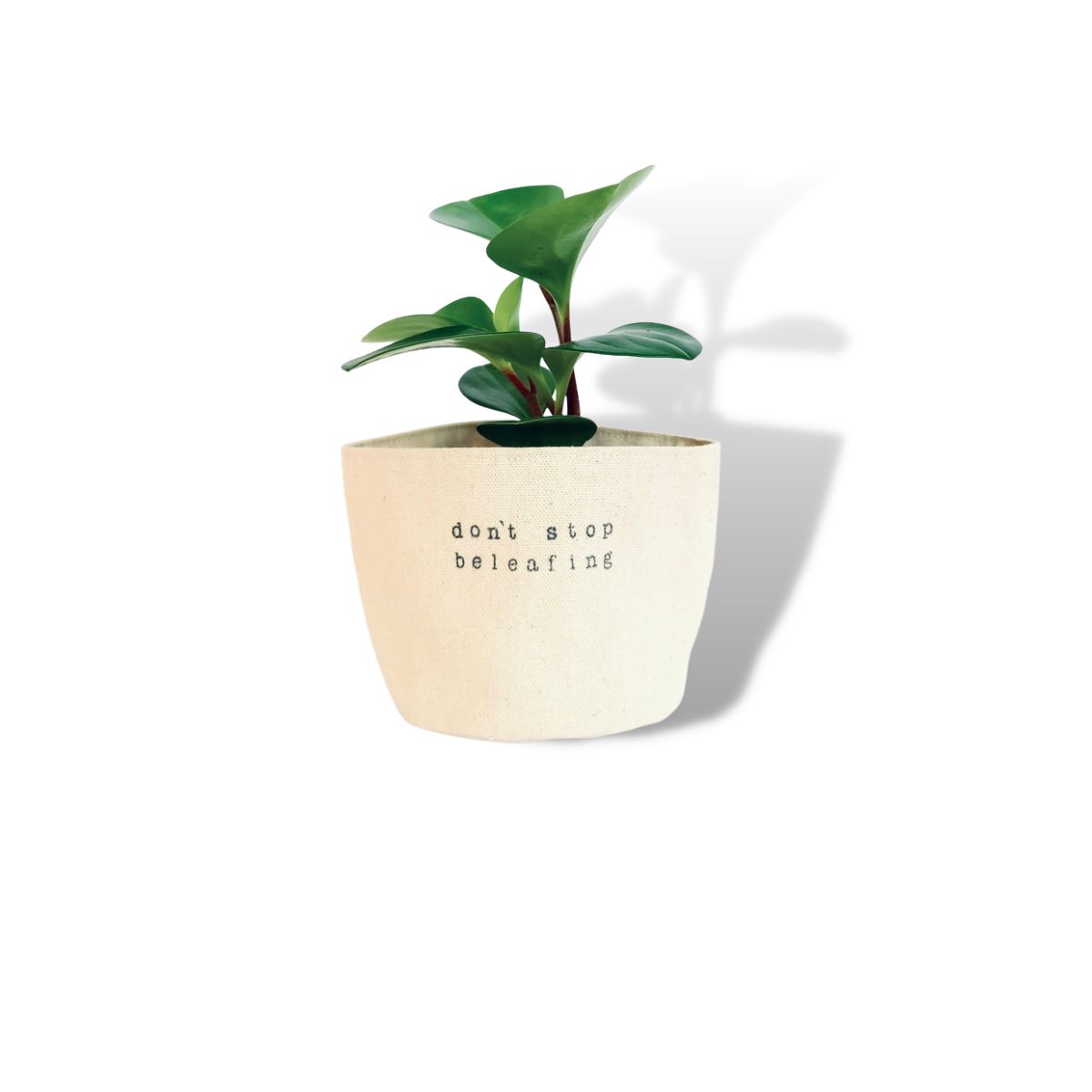 Wholesale Don't Stop Be Leafing Planter