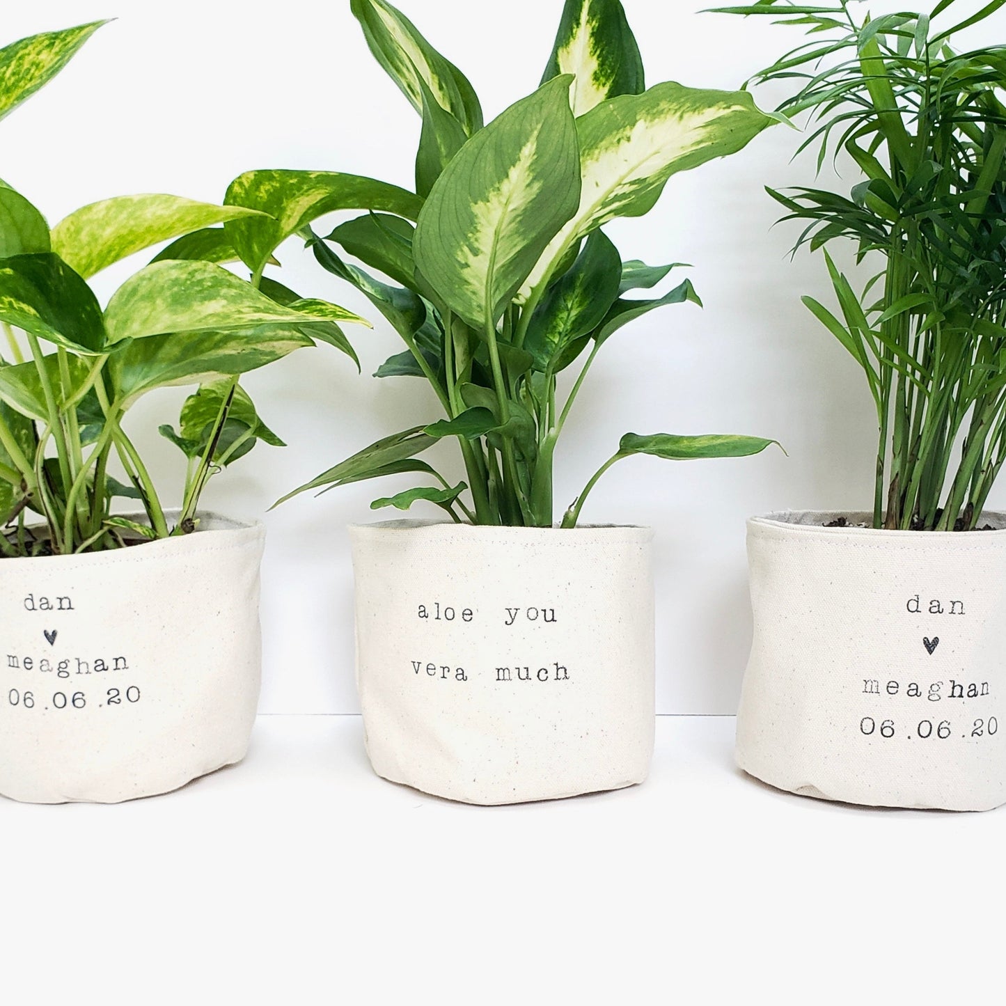 Wedding Favour 4" Planters - Bulk Order