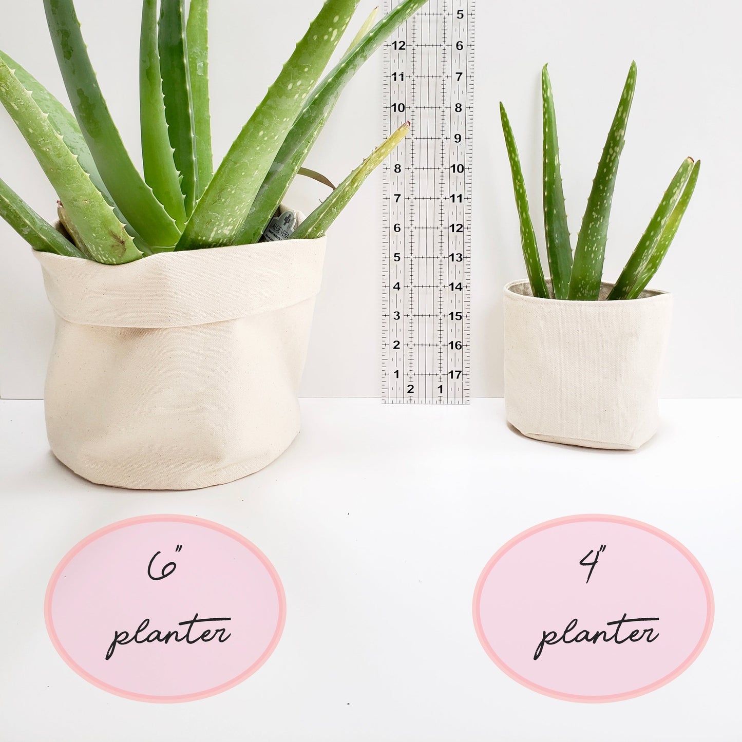 Don't Stop Be Leafing Planter