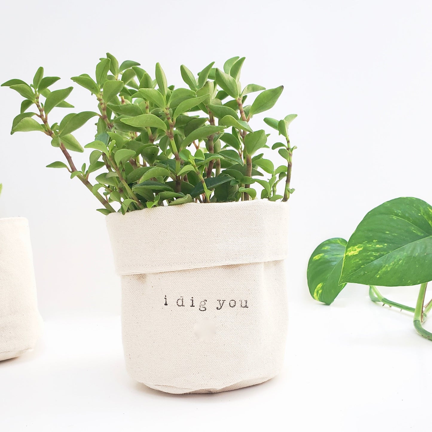 I Dig You Planter