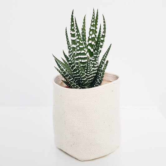 2"  Canvas Planter