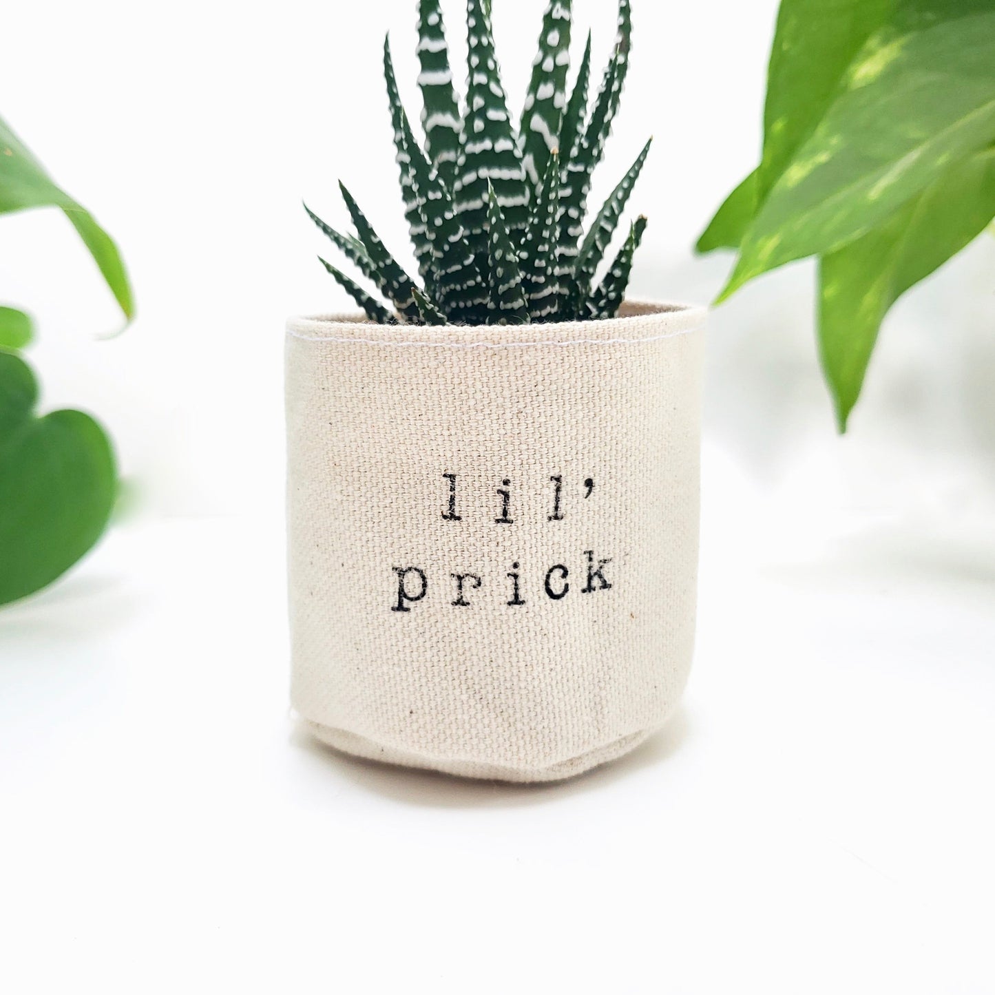 2" Lil' Prick