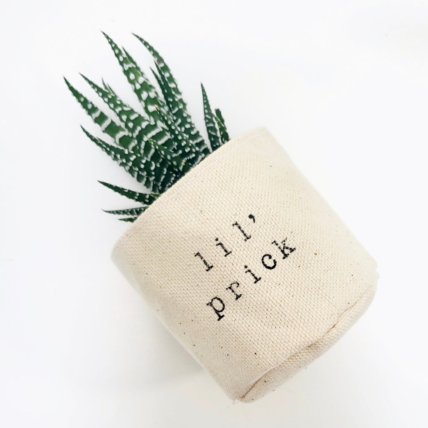 2" Lil' Prick