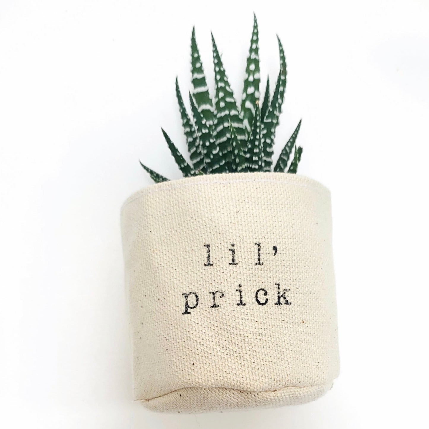 2" Lil' Prick