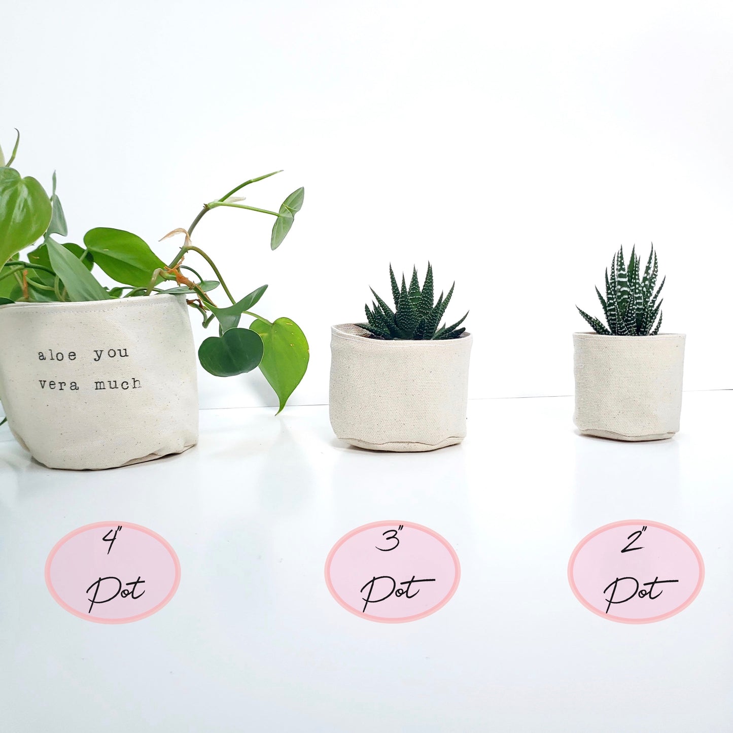 2" Succ it up