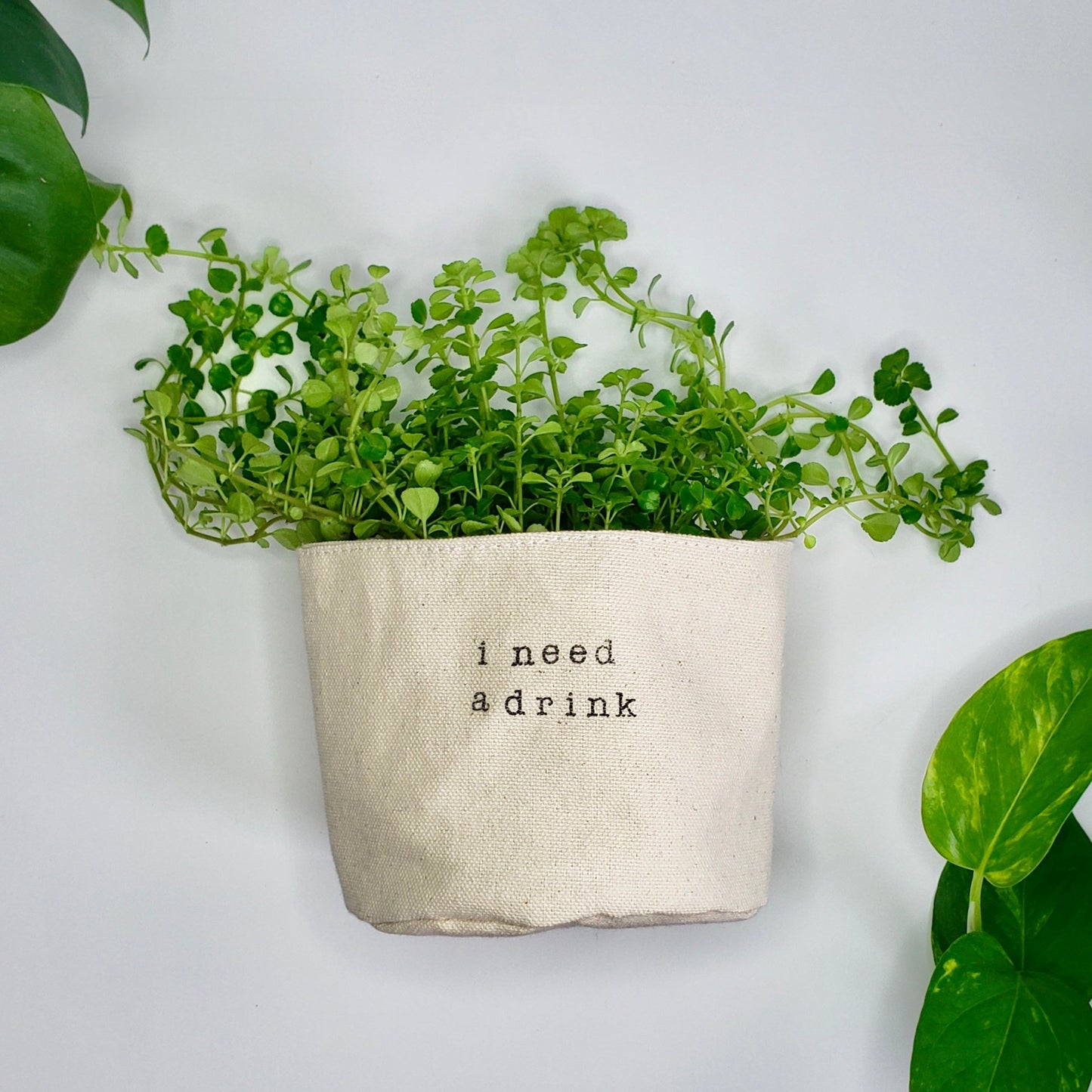 I Need a Drink Planter