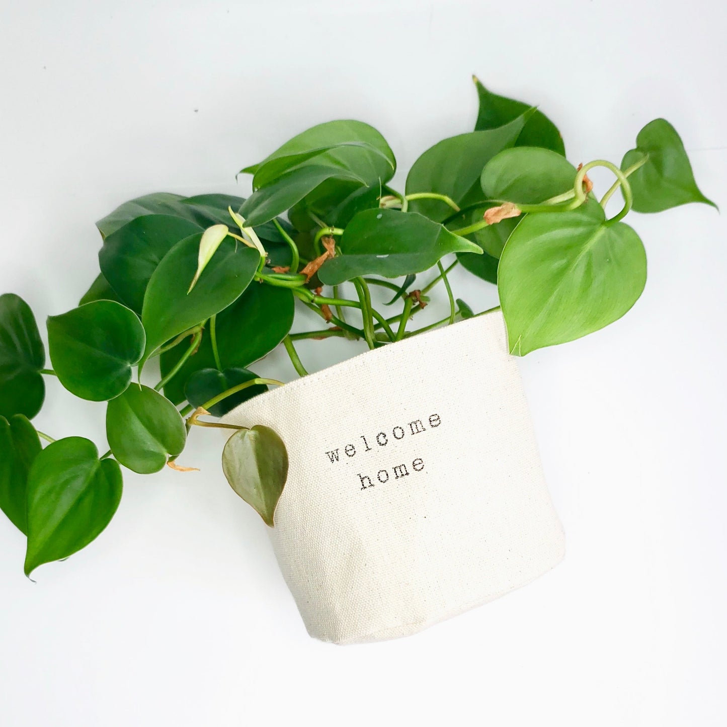 Welcome Home Planter