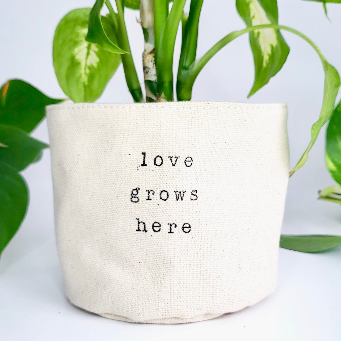 Wholesale Love Grows Here Planter