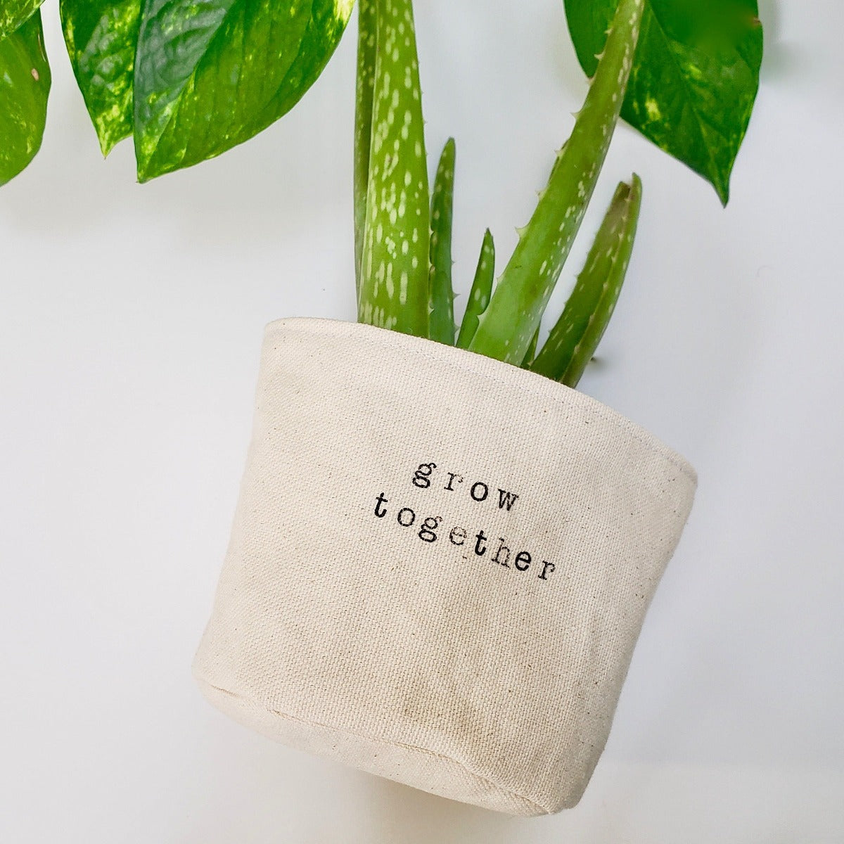 Wholesale Grow Together Planter