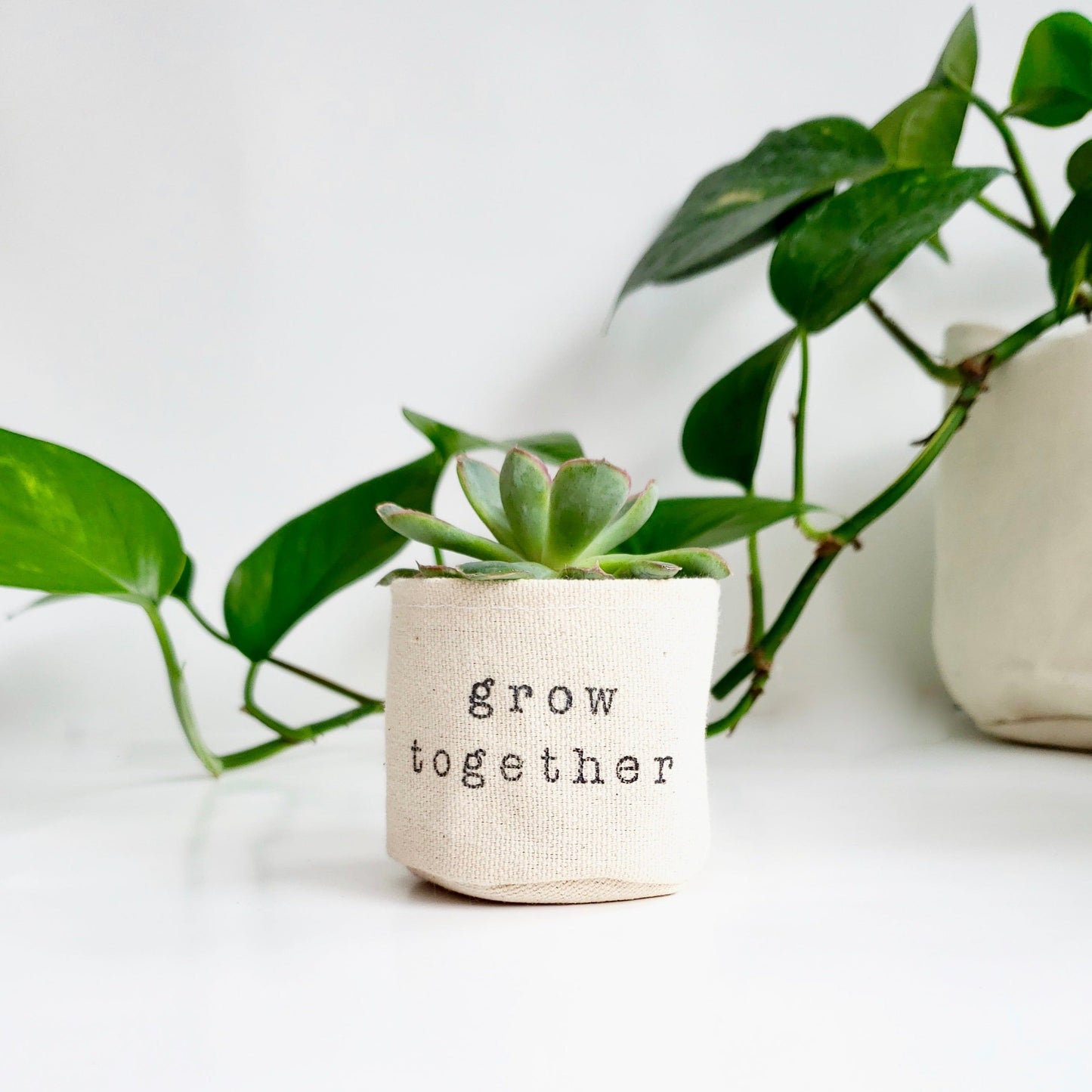 Wholesale 2" Grow Together