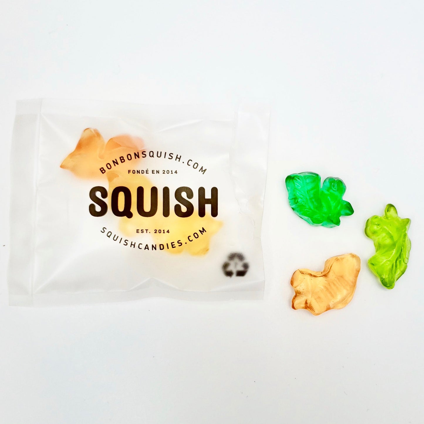 Squish Gourmet Gummies (mini pack)